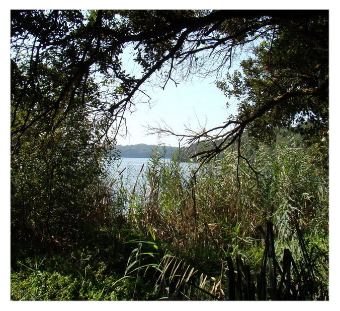 Lungo i sentieri verso il Lago di Paola